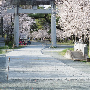 2025年3月　柳川市　