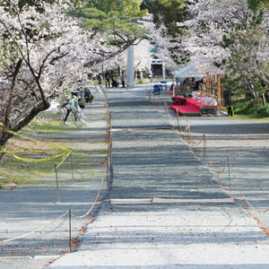 2025年3月　柳川市　三柱神社　参道馬場　馬場元より